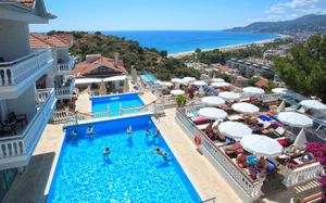 SUNNY HILL ALYA 4 *
