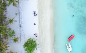 PLANKTONS BEACH 3*