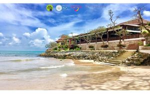 THE SARANN 4*