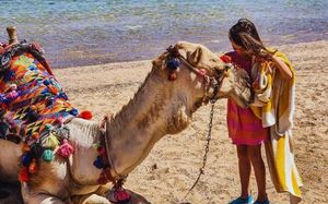 SWISSTOUCHES ORIENTAL RESORT & SPA MARSA ALAM (EX. HOTELUX ORIENTAL COAST MARSA ALAM; SENTIDO ORIENTAL DREAM RESORT) 5*