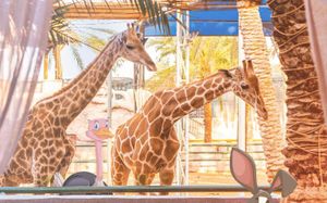 EMIRATES PARK RESORT 3*