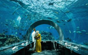 YOU & ME BY COCOON MALDIVES 5*