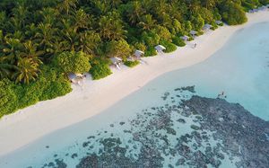 PLUMERIA MALDIVES 3*