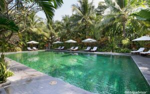 CHAM VILLA RESORT 4*