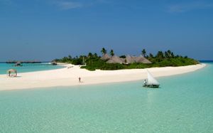 COCO PALM DHUNI KOLHU 4+ *