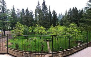 PARK HOTEL IMERI 2*