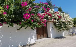 HOLIDAY COTTAGE GUEST HOUSE 3*