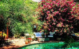 EL VINO HOTEL & SUITES 4*