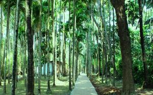ARAMBOL PARADISE VILLAGE RESORT 2*