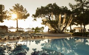 ROBINSON CAMYUVA (ADULTS ONLY) 5*