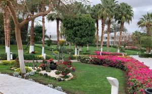 MONTE CARLO SHARM EL-SHEIKH (EX-THE RITZ-CARLTON) 5*