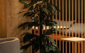 REGAL INN BADAMDAR HOTEL 4*