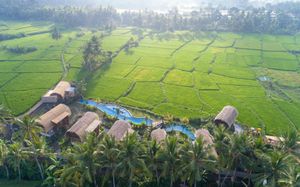 BEEHOUSE DIJIWA UBUD 4*