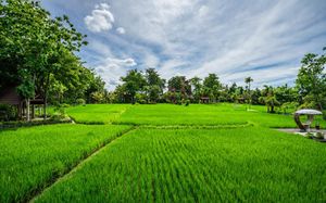 KAJANE YANGLONI UBUD 4*
