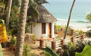 SOMA PALMSHORE