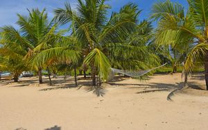 MARINA BEACH PASSIKUDHA 4