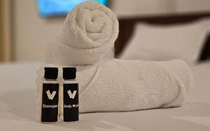 V THREE HOTEL 3*