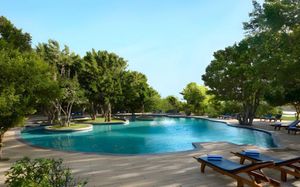 CINNAMON WILD 5*