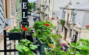 BRIGHTON 4*