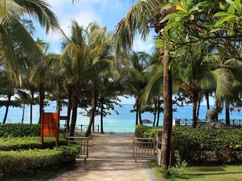 Фото отеля #169