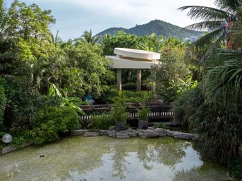 Фото отеля #97