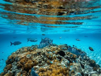 Фото отеля #107