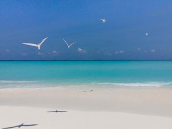 Фото отеля #108