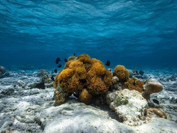 Фото отеля #110