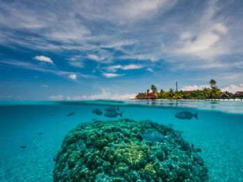 Фото отеля #116