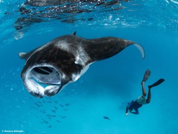 Фото отеля #127