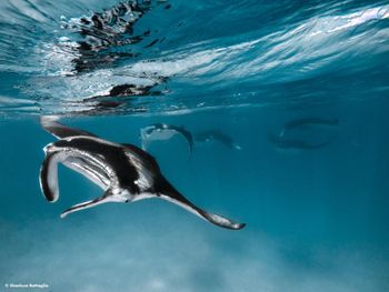 Фото отеля #129