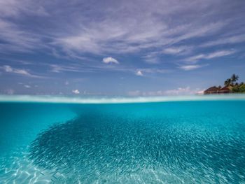 Фото отеля #157