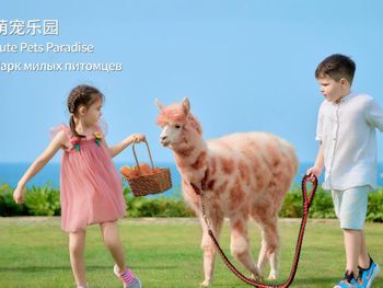 Фото отеля #265