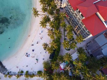 Фото отеля #86