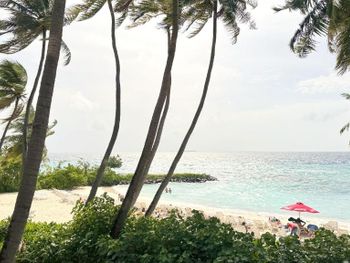 Фото отеля #91