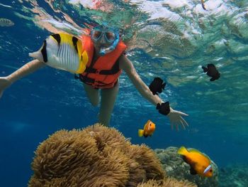 Фото отеля #51