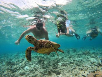 Фото отеля #53