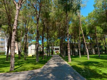 Фото отеля #102