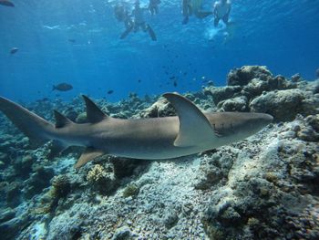 Фото отеля #38