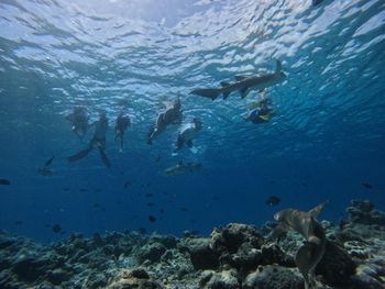 Фото отеля #68