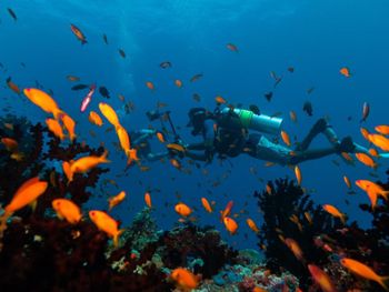 Фото отеля #183