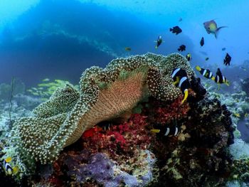 Фото отеля #184