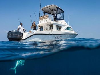 Фото отеля #186