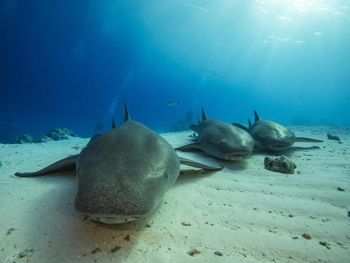 Фото отеля #210