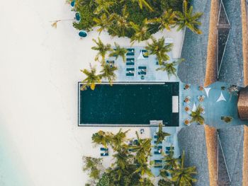 Фото отеля #218