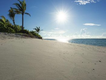 Фото отеля #79