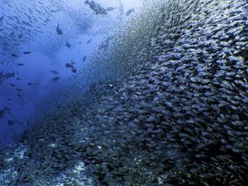 Фото отеля #83