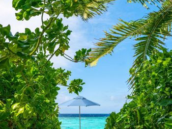 Фото отеля #34