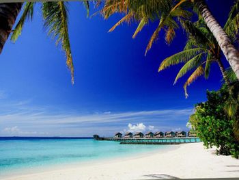 Фото отеля #39