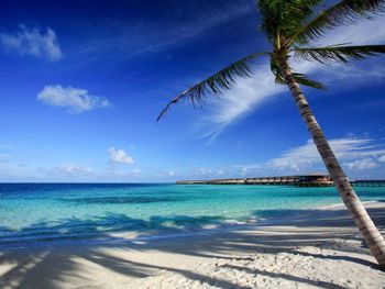 Фото отеля #56